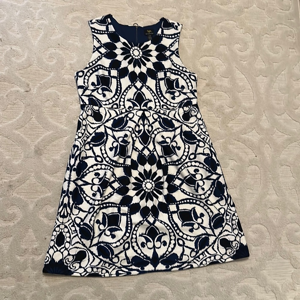 Taylor for A Pea In The Pod Maternity Dress